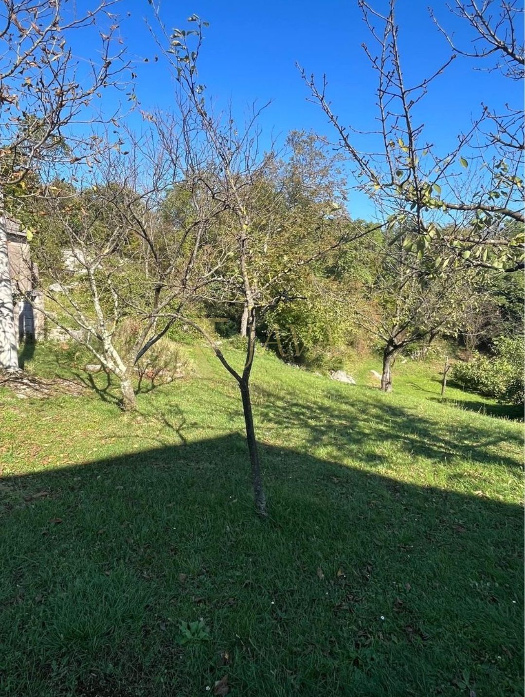 Fotografija