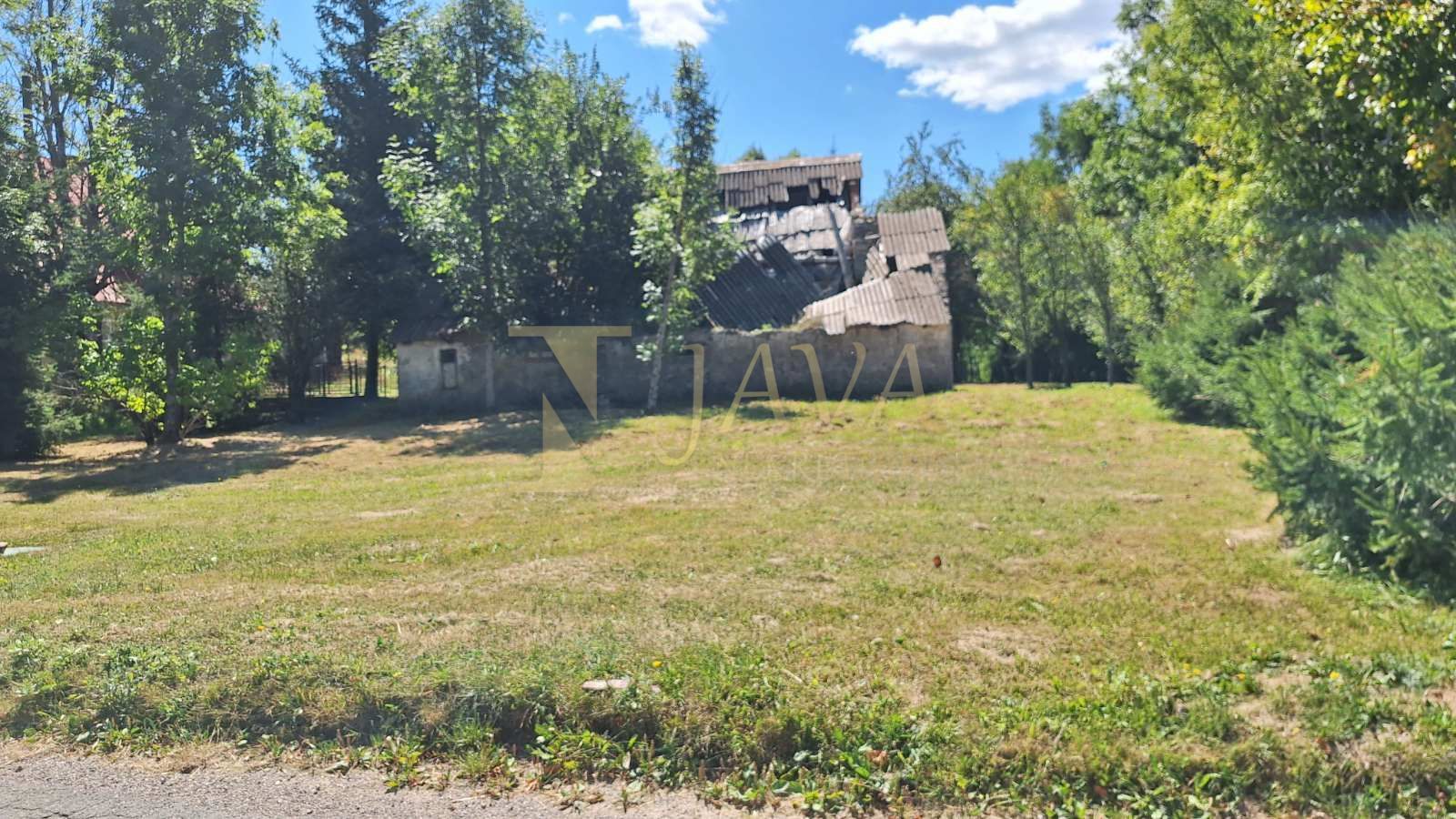 Fotografija