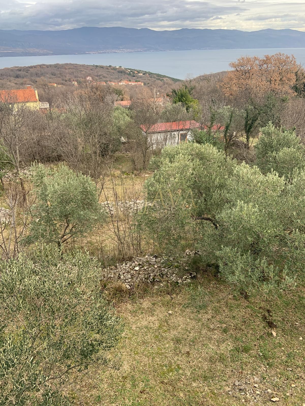 Fotografija