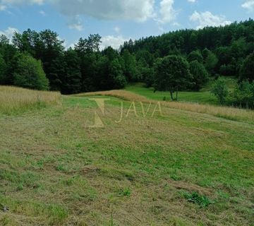 Ravna Gora/Stari Laz, Građevinsko zemljište, 1500 m2 - cover