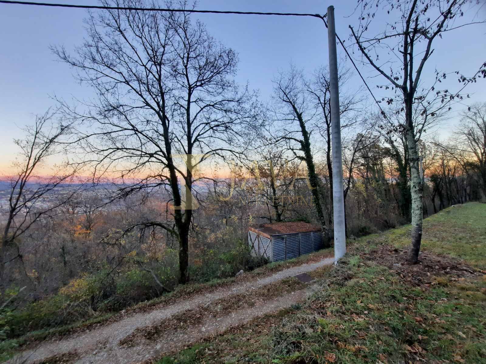 Fotografija