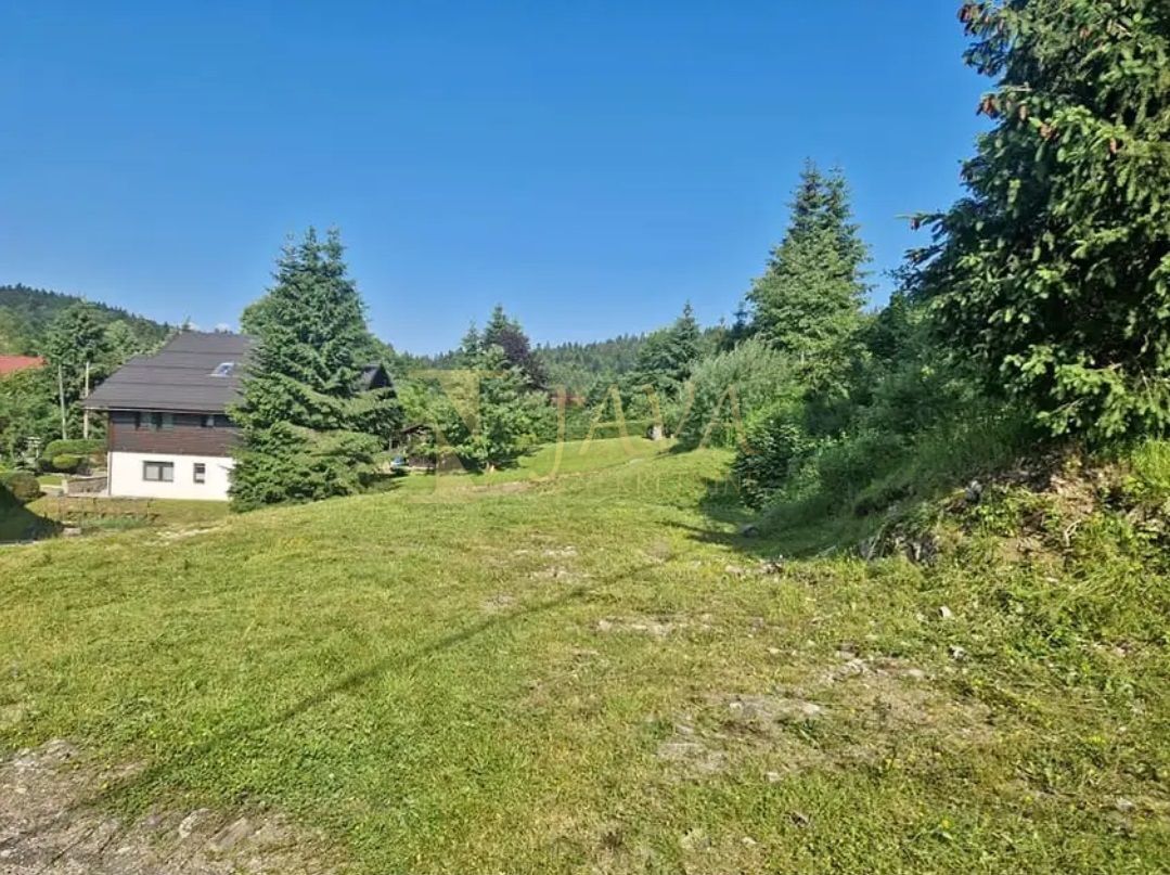 Fotografija