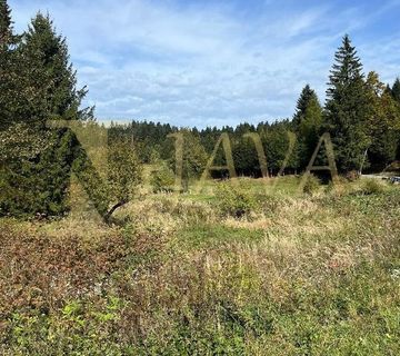 DELNICE/CRNI LUG, ZEMLJIŠTE 7300 M2 - cover