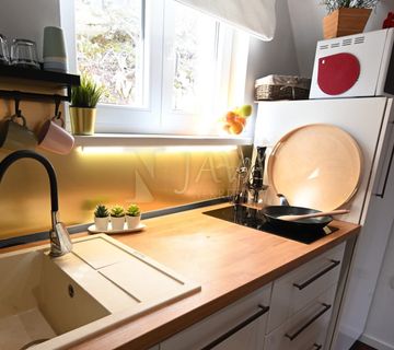 Lič/Fužine, Novouređena samostojeća kuća s okućnicom - cover