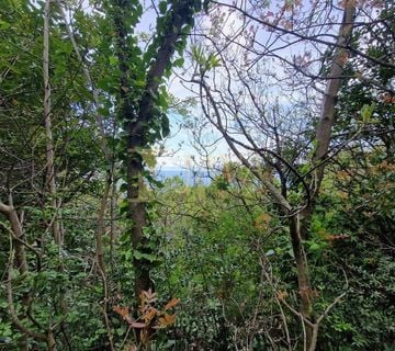 Mošćenička Draga / Haldei, Građevinski teren, 850 m2, pogled na more - cover