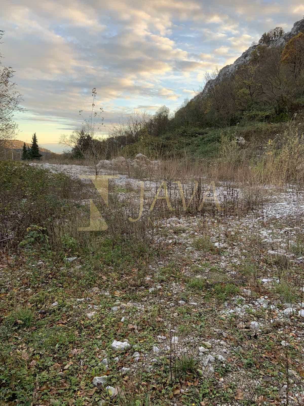 Fotografija