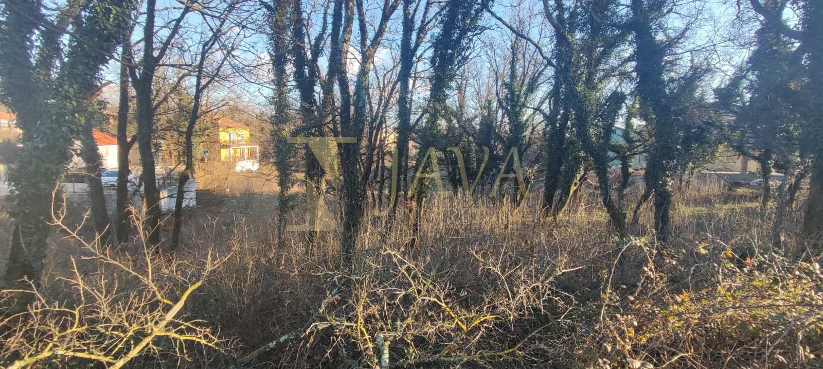 Fotografija
