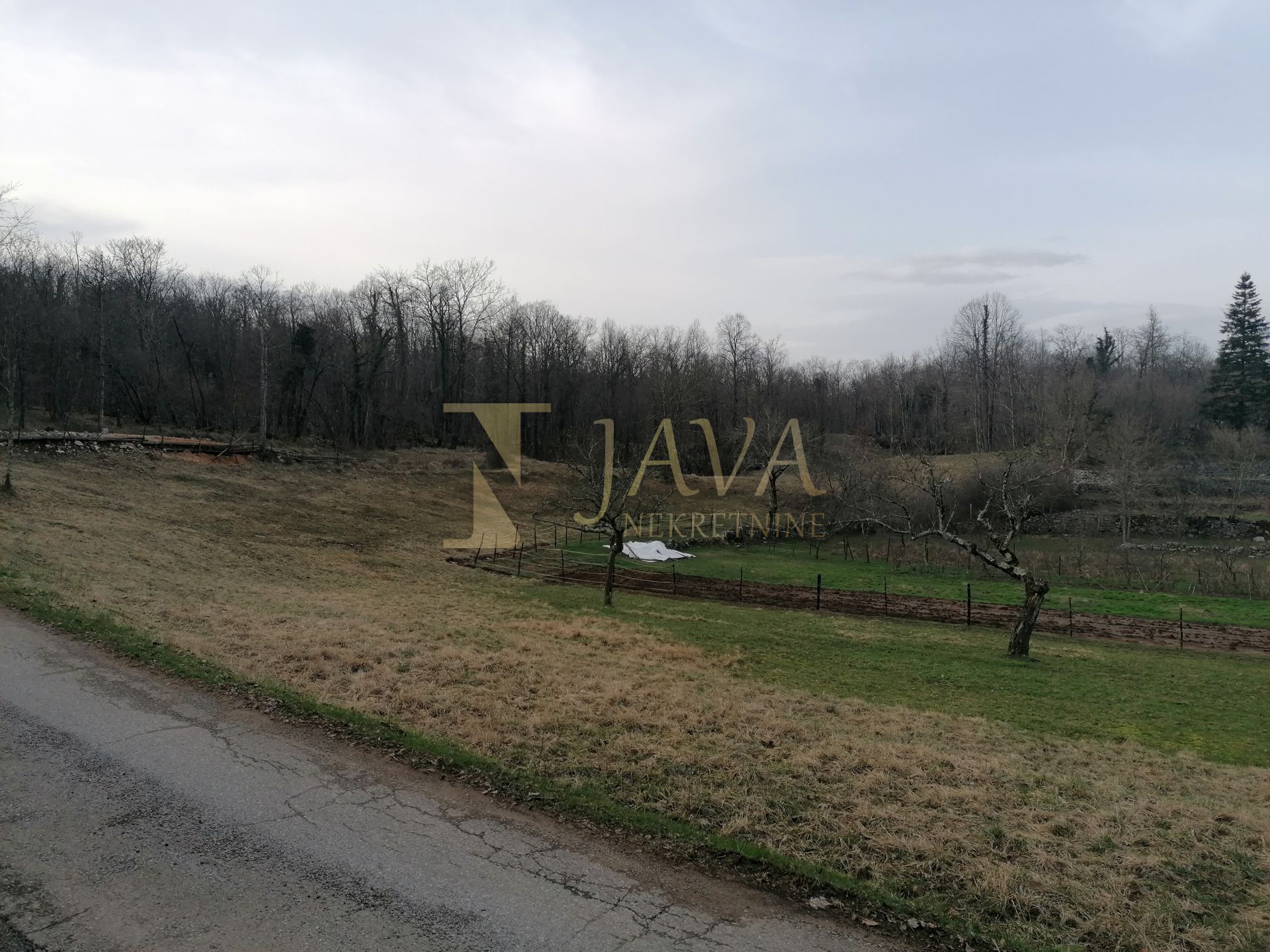 Fotografija