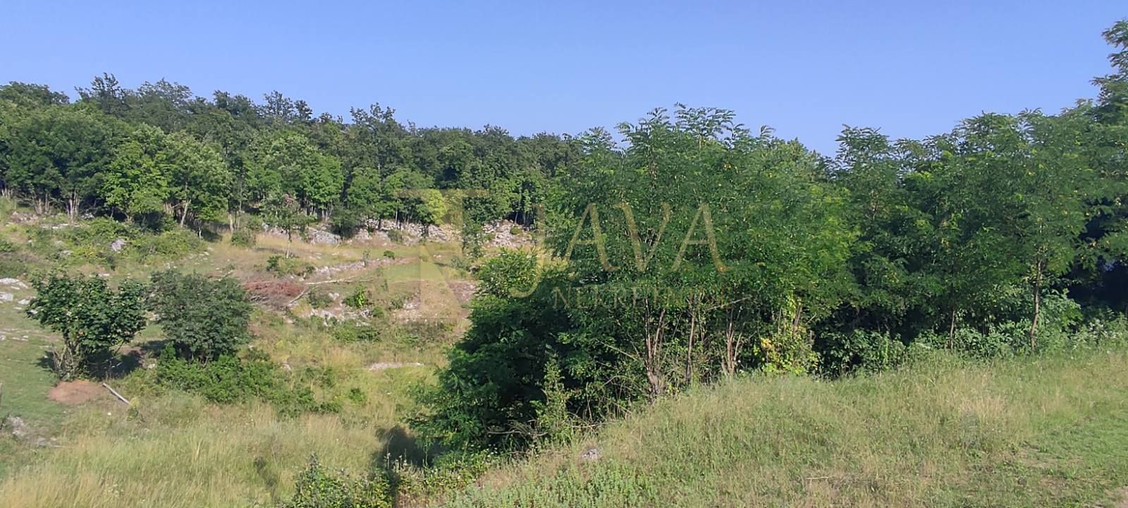 Fotografija