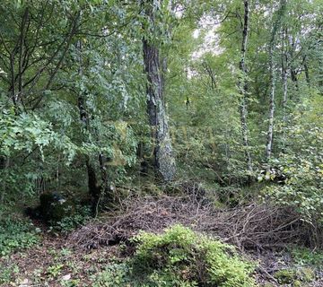 Matulji/Zvoneća, građevinski teren, šuma uz gl.prometnicu, 1.700 m2 - cover