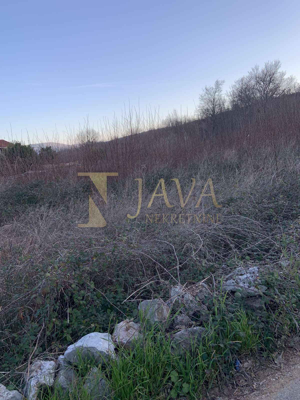 Fotografija