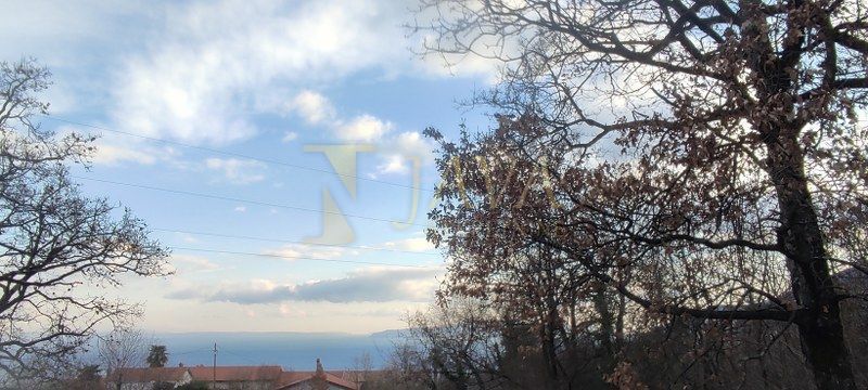 Fotografija