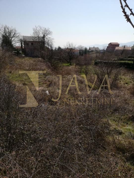 Fotografija