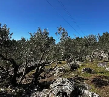 Poljoprivredno zemljište na prodaju - Blato - cover