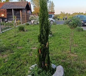 Kuća prizemnica - cover