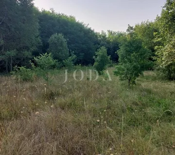 Poljoprivredno zemljište pravilnog oblika uz lokalnu cestu - Kunj, Raša