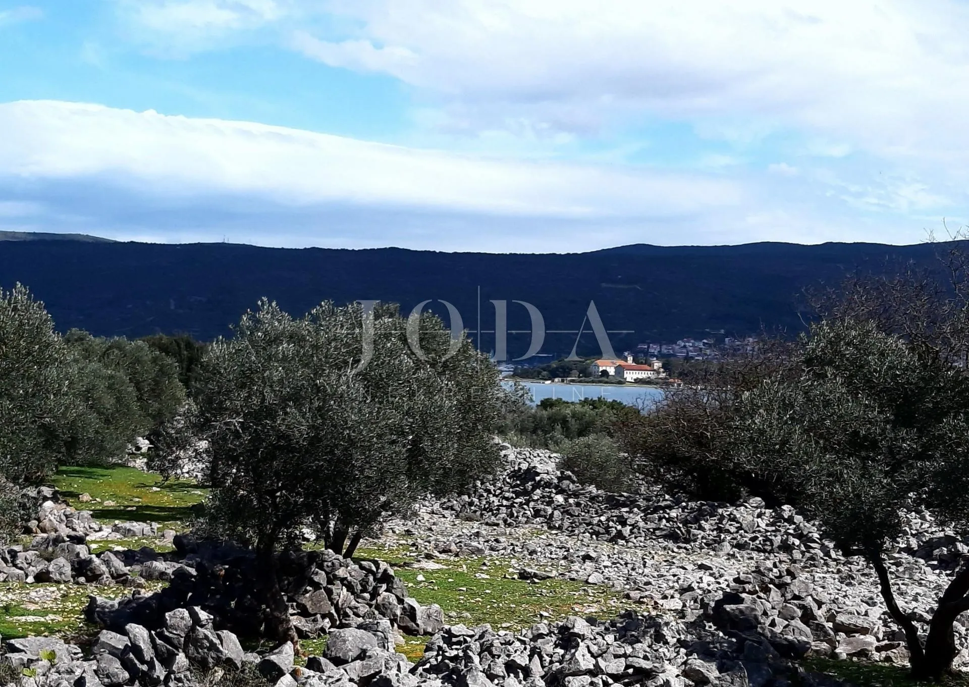 Krk - maslinik u blizini mora s pogledom na more - cover