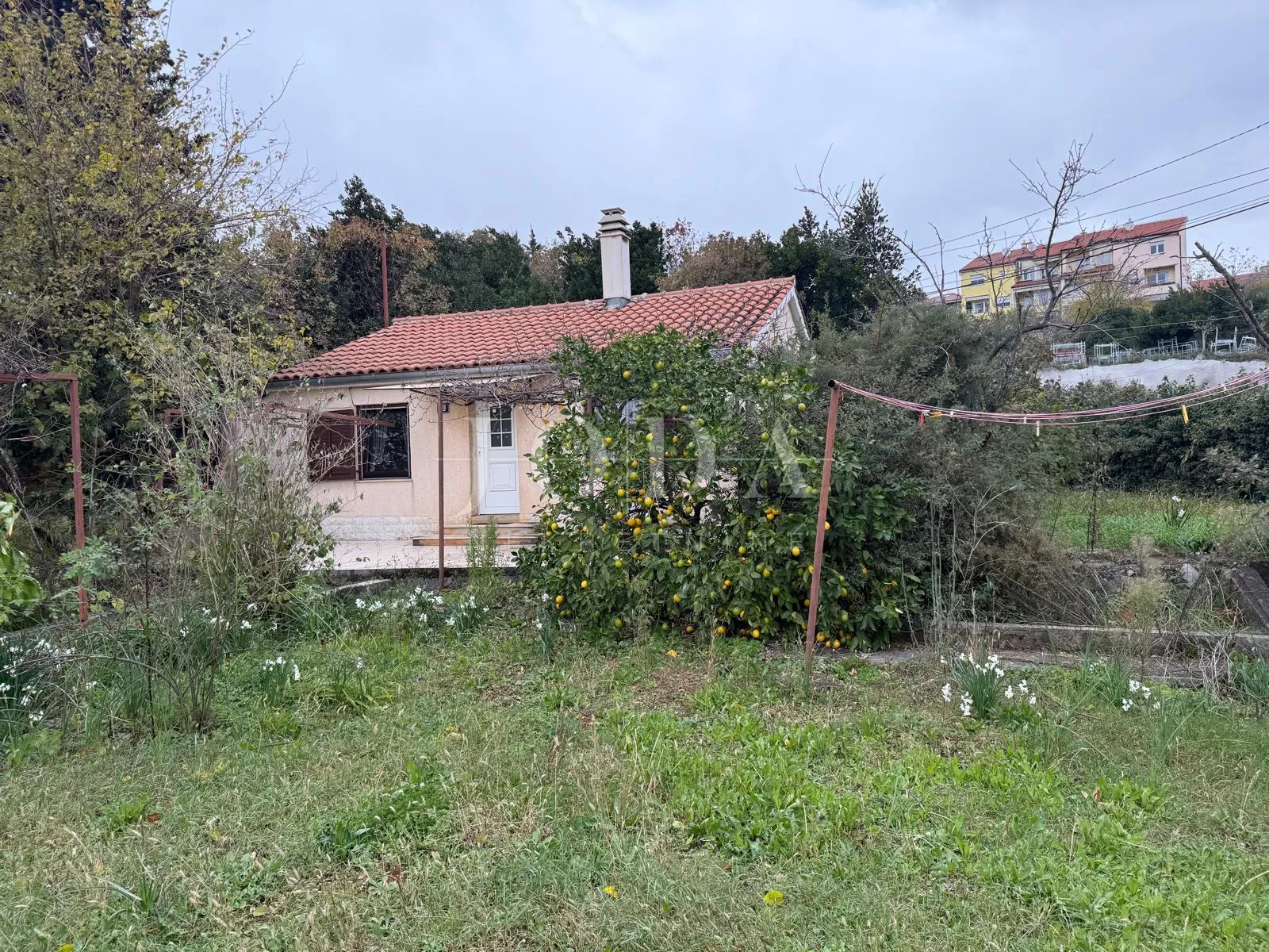 Kantrida - Šarmantna prizemnica s velikom okućnicom - cover