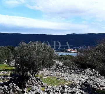 Krk - maslinik u blizini mora s pogledom na more - cover