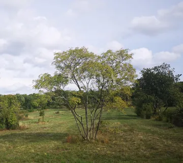 Atraktivno zemljište s kućom i gosp.objektom - cover