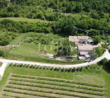 Cerovlje, okolica, istarska stancija sa dvije kuće i prostranom okućnicom