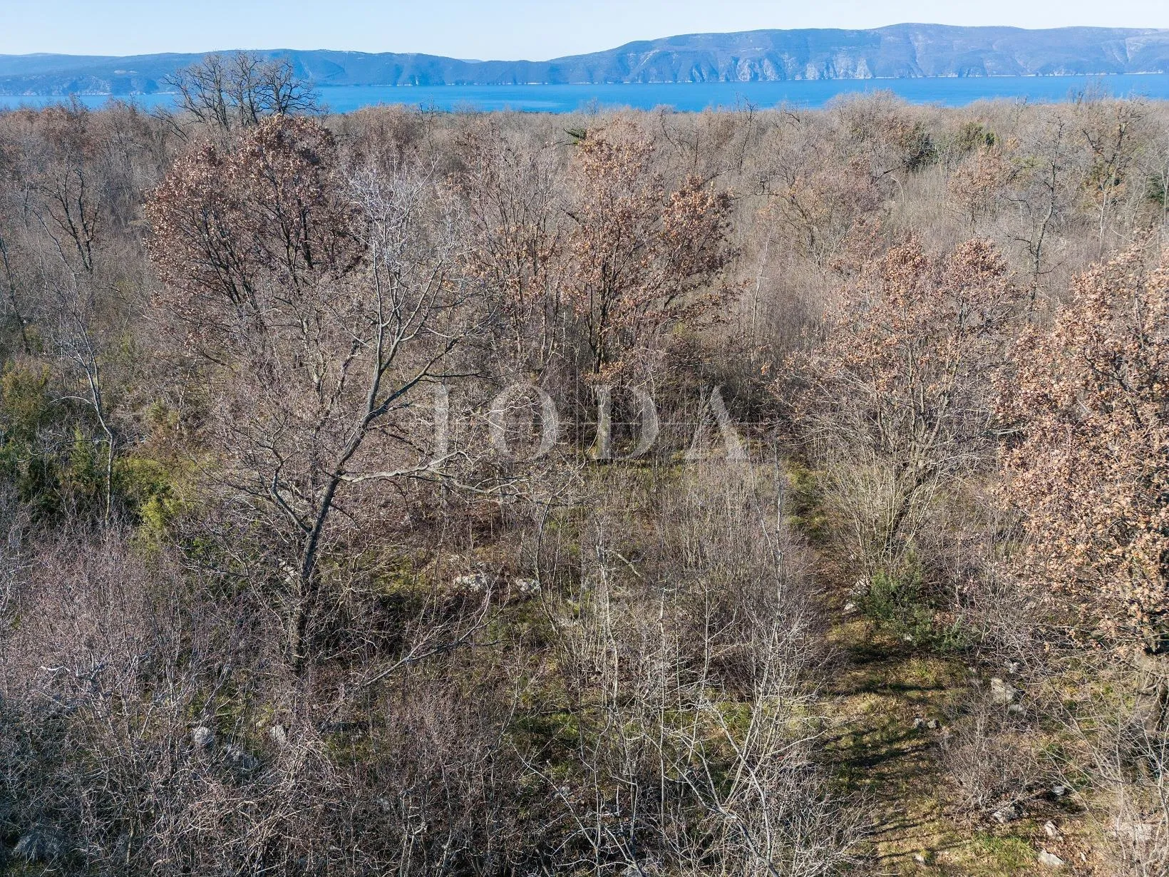Veliko neurbanizirano zemljište blizu Krka, potencijal! - cover