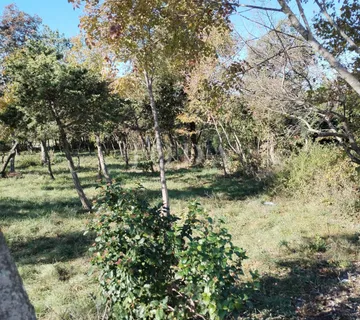 Barban, okolica, građevinsko zemljište