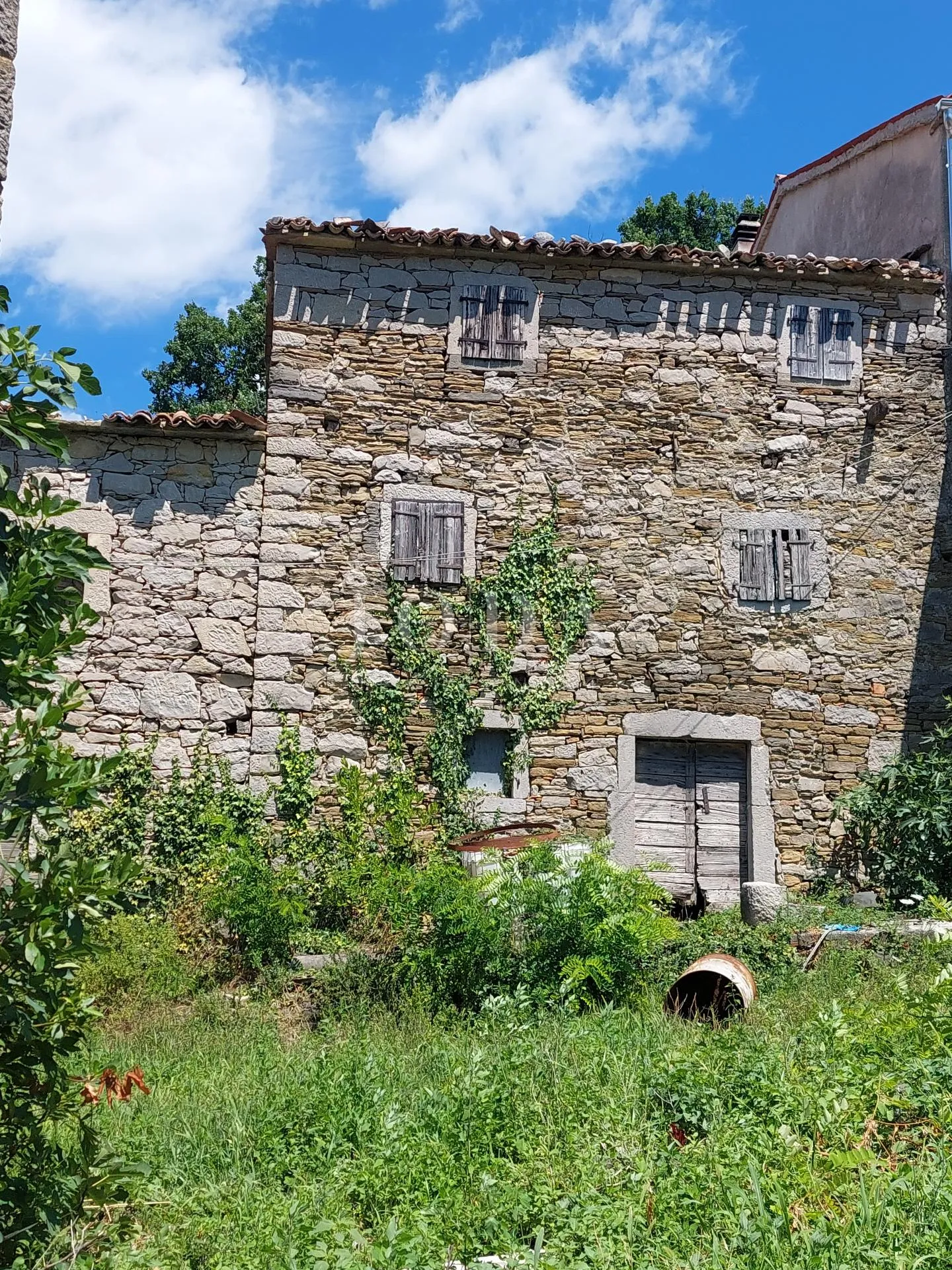 Fotografija