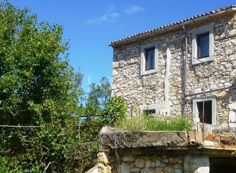 Dvojna kamena kuća, djelomično adaptirana - cover