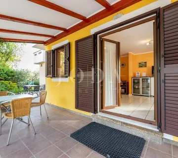 Prostran stan u prizemlju s uređenom okućnicom - cover