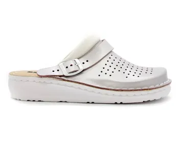 ANATOMSKE KLOMPE, Srebrna, BCABB - cover