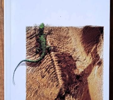 MAYA Jostein Gaarder - cover