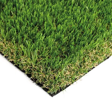 ITALGRASS VIVA 35 - cover