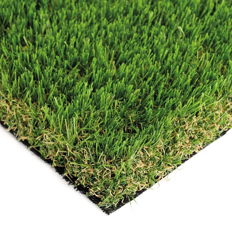 ITALGRASS VIVA 35 - cover