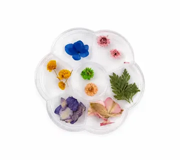 Dried Flower Mix Leaves & Flowers 3 - Zagreb