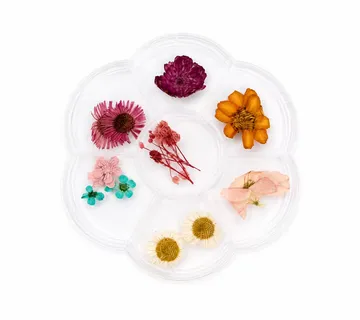 Dried Flower Mix Pastel - Zagreb