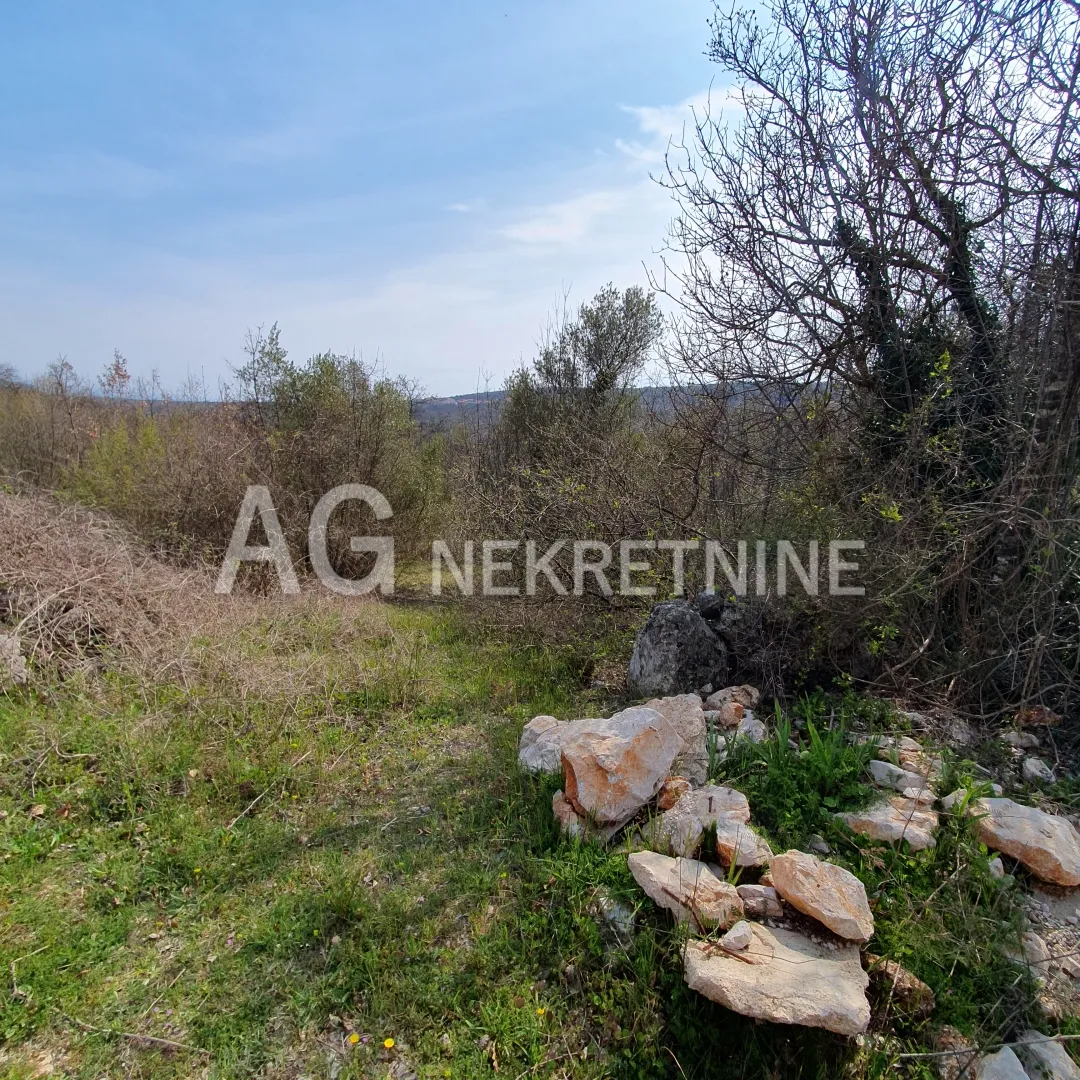 Krk, Vrh, prodaja poljoprivrednog zemljišta, maslinik - cover