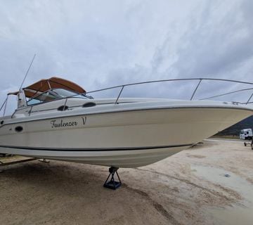 SEA RAY 290 - cover