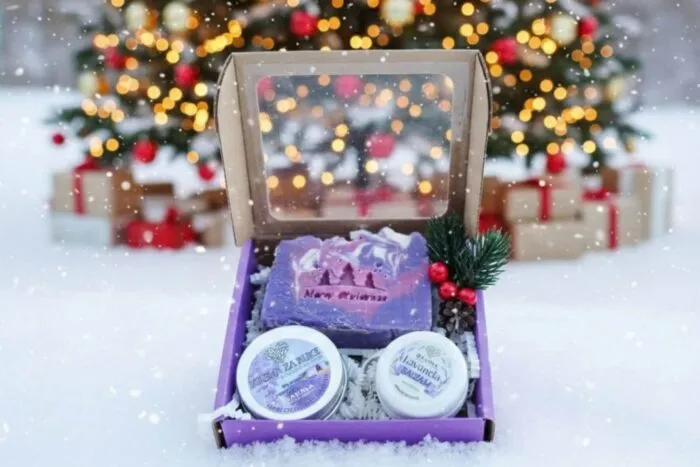 Lavandina čarolija - cover