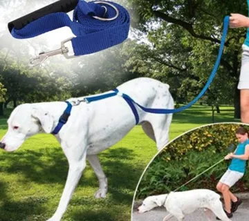 Povodac za trening pasa- Instant Dog povodac - cover