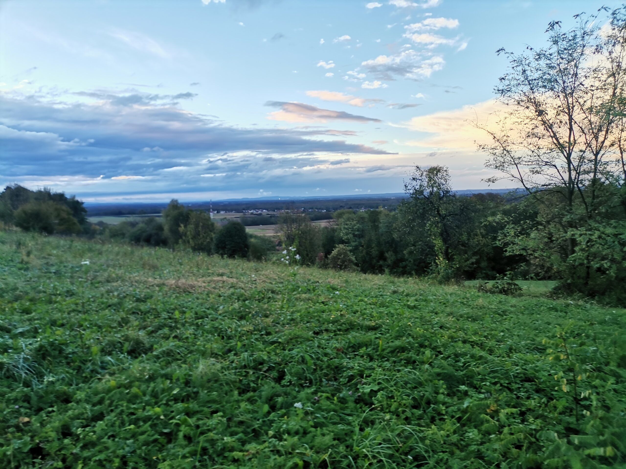 Fotografija