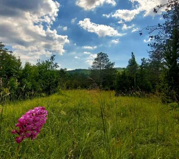 Građevinsko zemljište, Boljun, 44000 m2 - cover