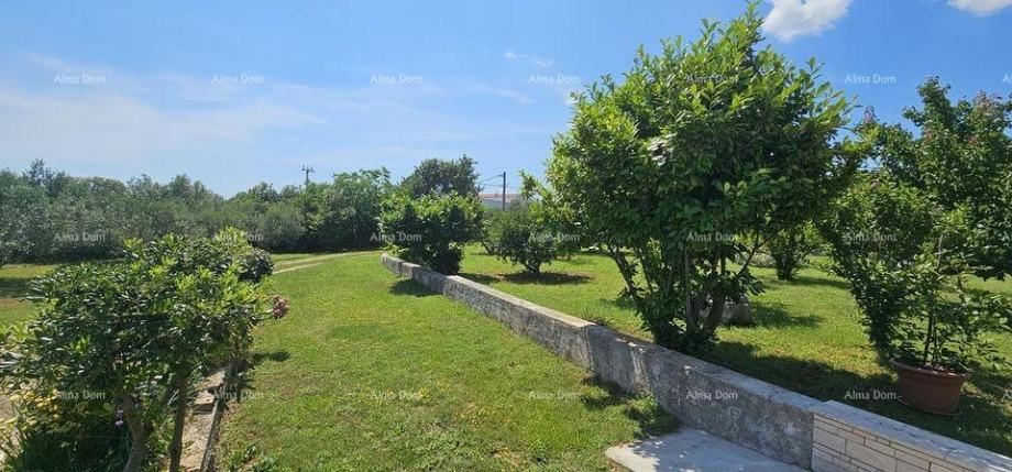 Fotografija
