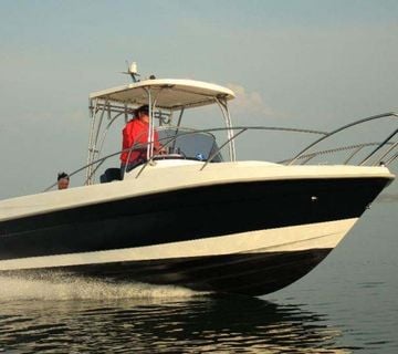 MARION 800 WA - cover