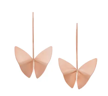 Leptir naušnice - cover