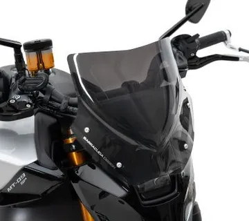 BARRACUDA PLEKSIGLAS VJETROBRANI - cover