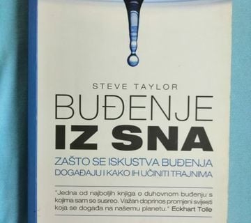 Steve Taylor – Buđenje iz sna [B106] - cover