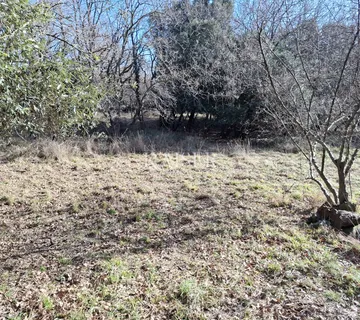 Otok Cres, Belej, poljoprivredno zemljište 12 730 m2 - cover