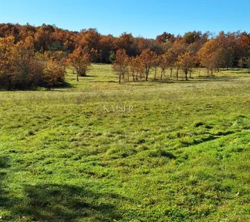 Istra- Višnjan, poljoprivredno zemljište 4 hektara - cover