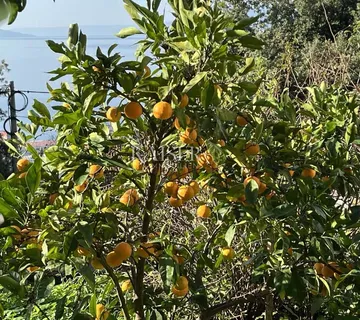 Rijeka, Trsat - kuća s tri stana, dvije garaže i pogledom - cover
